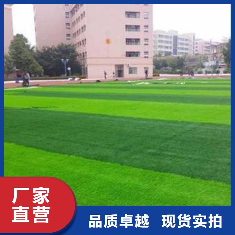 人造草坪【塑胶跑道】一站式采购商