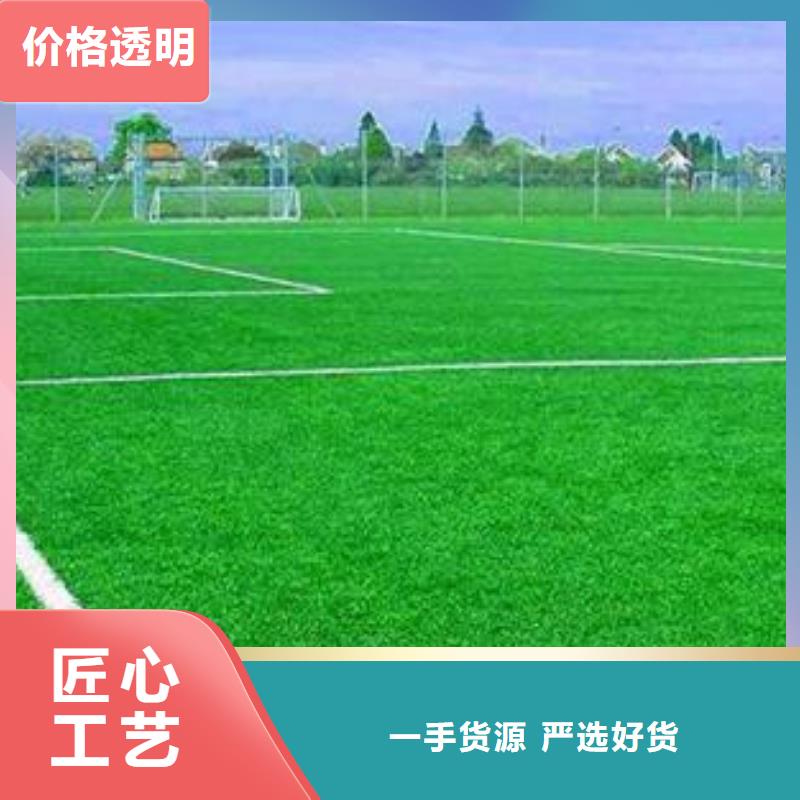 人造草坪_塑胶跑道厂家精选