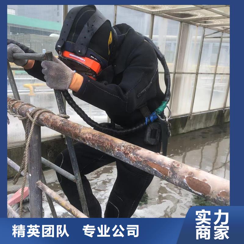 水下封堵實力派服務公司