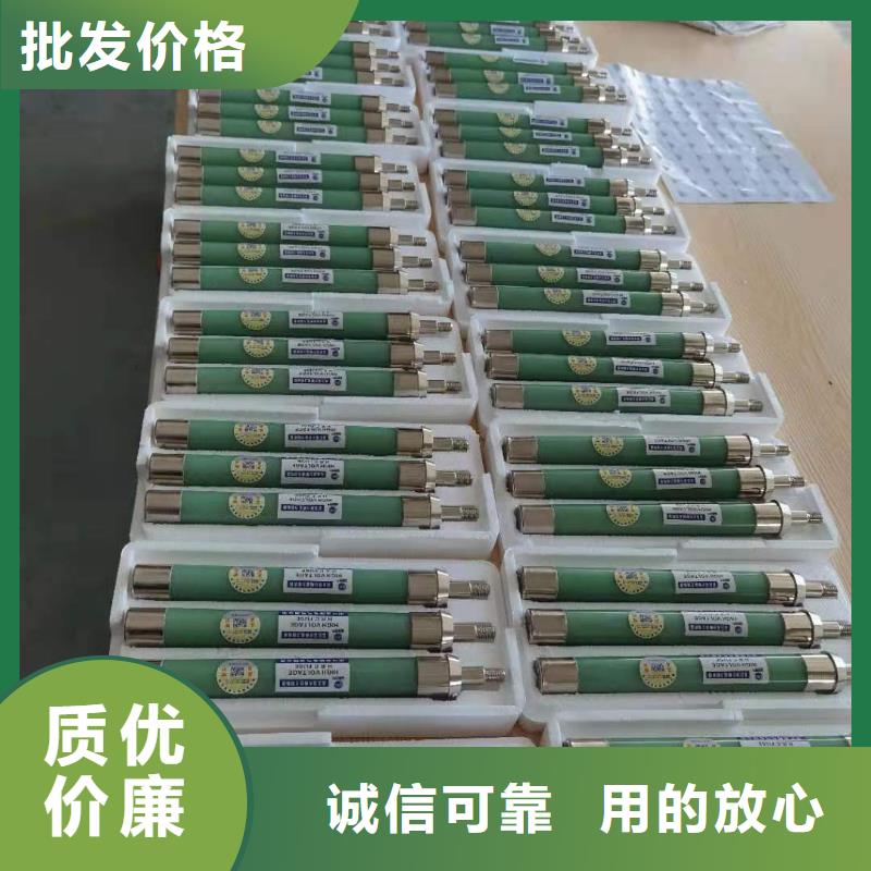 高压熔断器XRNT-12KV熔断器支持拿样