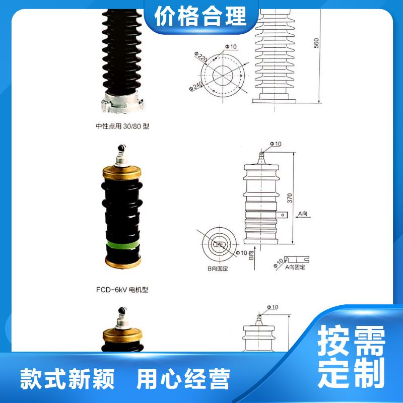 氧化锌避雷器,电磁锁以质量求生存