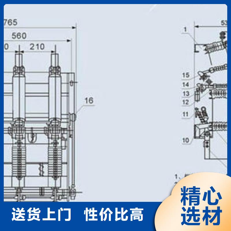 高壓負荷開關,避雷器實力廠家