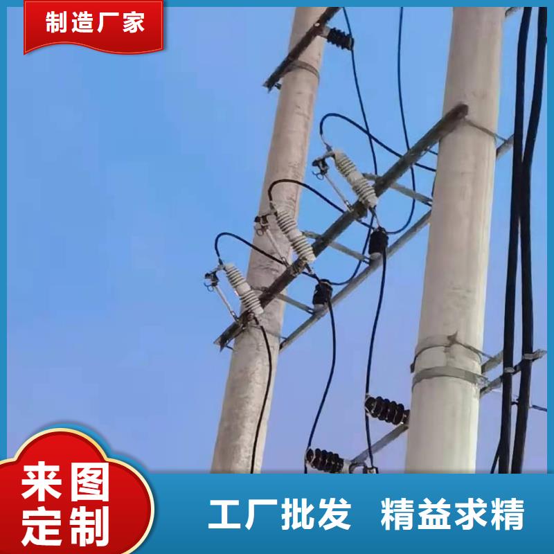 跌落式熔断器高压限流熔断器颜色尺寸款式定制