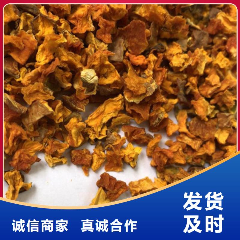 南瓜丁專注細(xì)節(jié)專注品質(zhì)