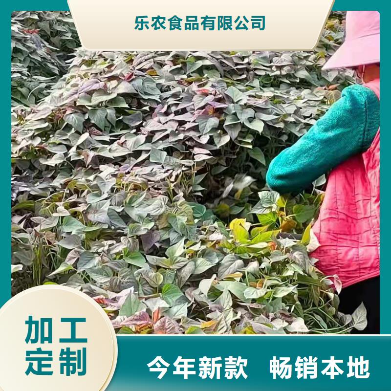 紫薯苗【紫薯雪花片】省心又省錢