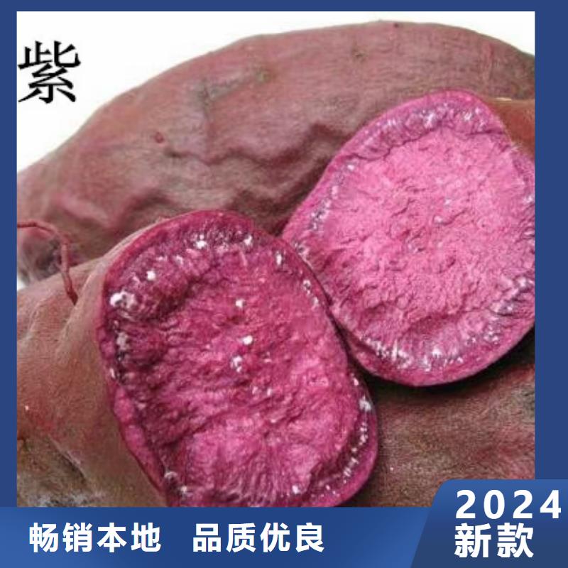 【紫薯苗】紫薯粉好產(chǎn)品價(jià)格低