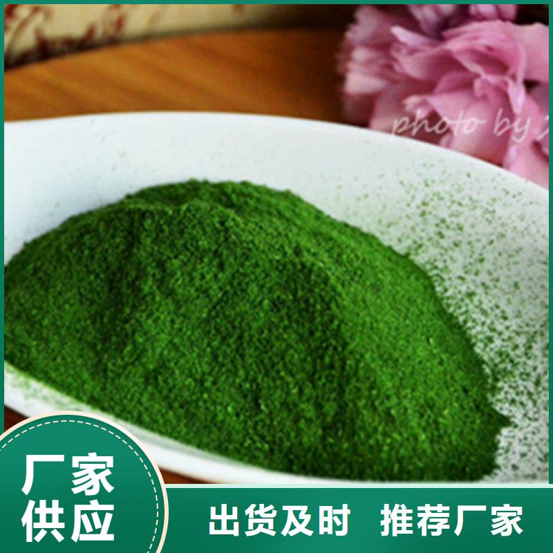 菠菜片來(lái)廠考察