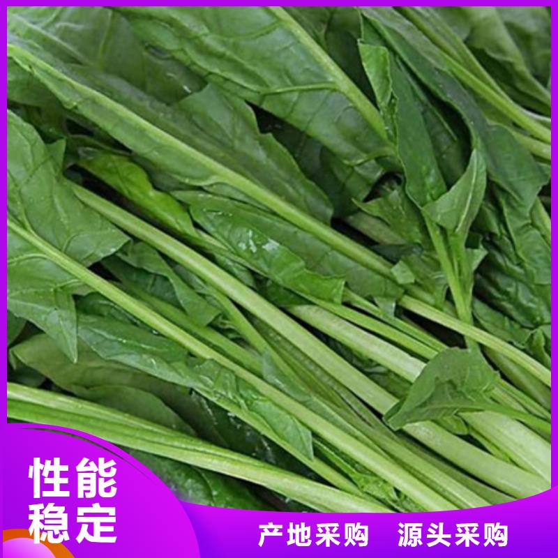 菠菜粉批發價