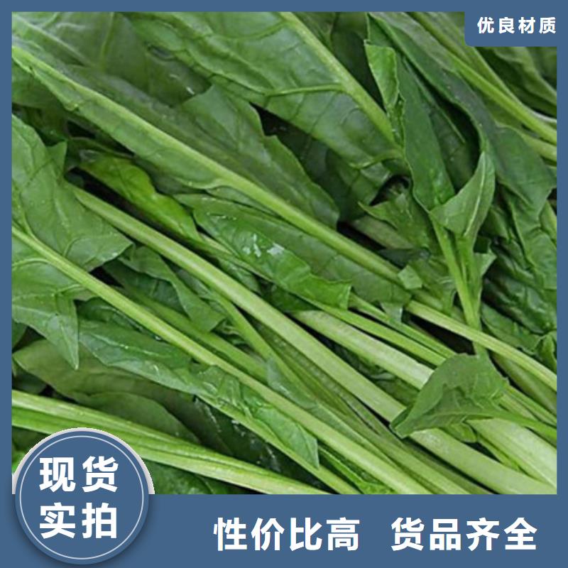 菠菜粉源頭廠家