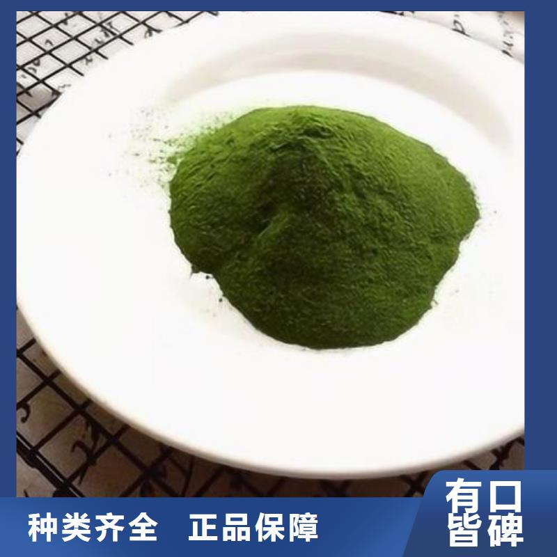 菠菜粉批发价