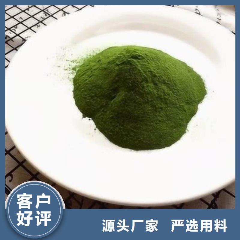 綠色菠菜粉價格品牌:樂農(nóng)食品有限公司