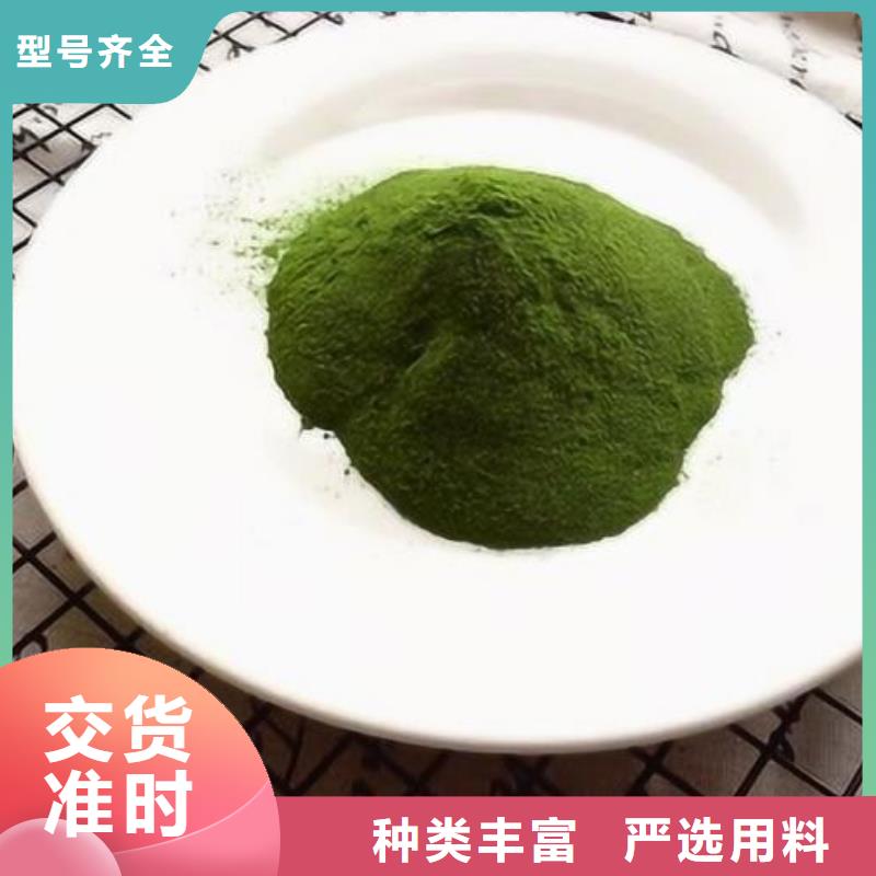 菠菜粉采购价格