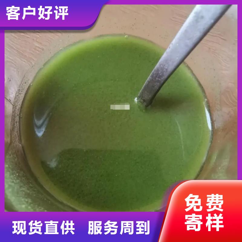 羽衣甘蓝粉产品厂家——十余年更专业