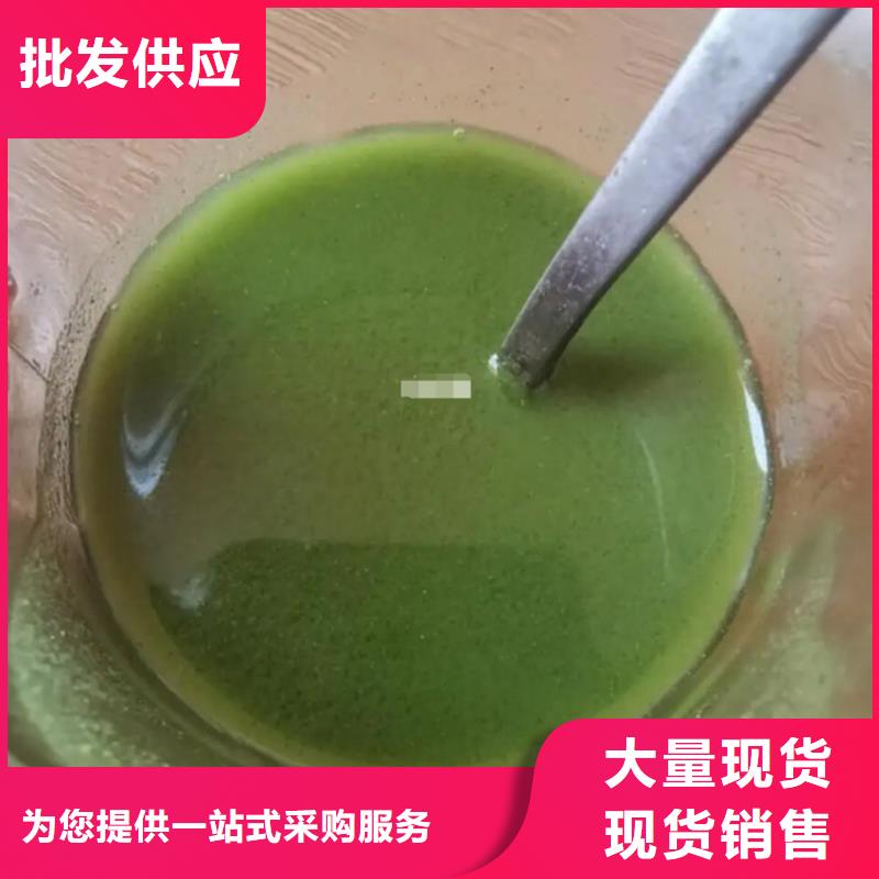 羽衣甘蓝粉末_支持定制