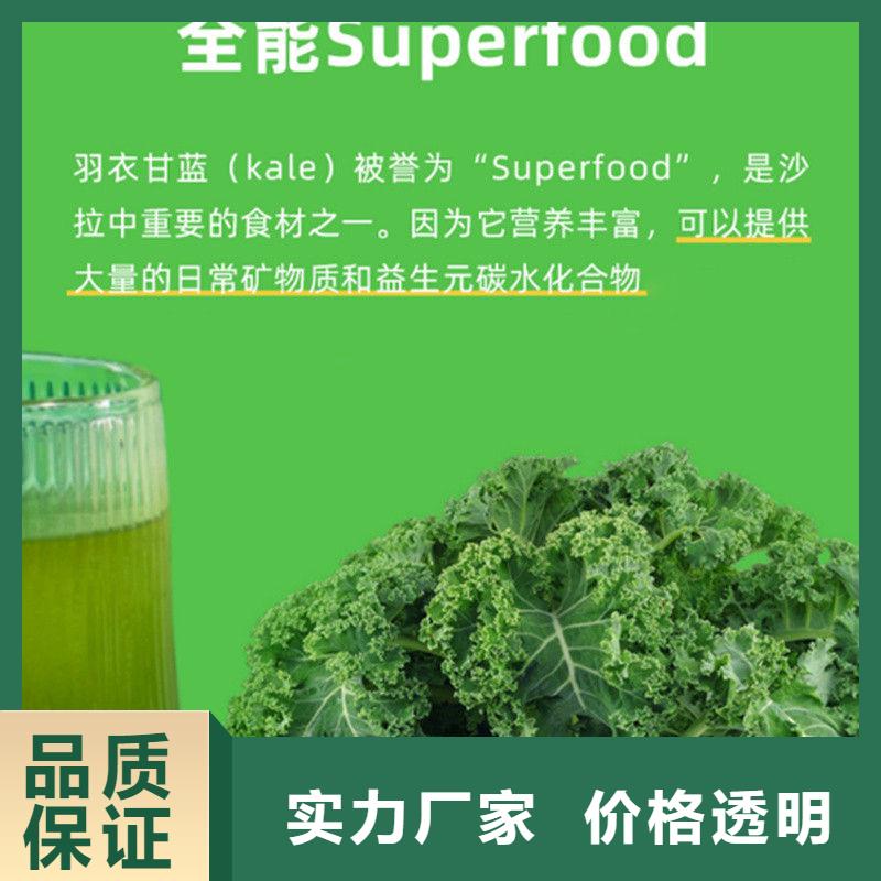 质优价廉的羽衣甘蓝粉末生产厂家