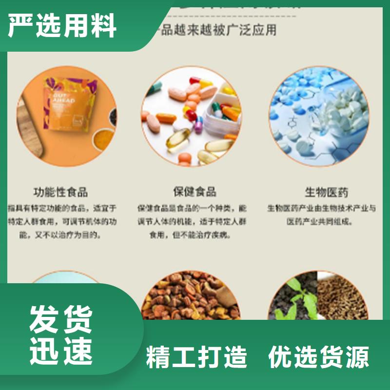 乐农食品有限公司羽衣甘蓝粉价格低交货快