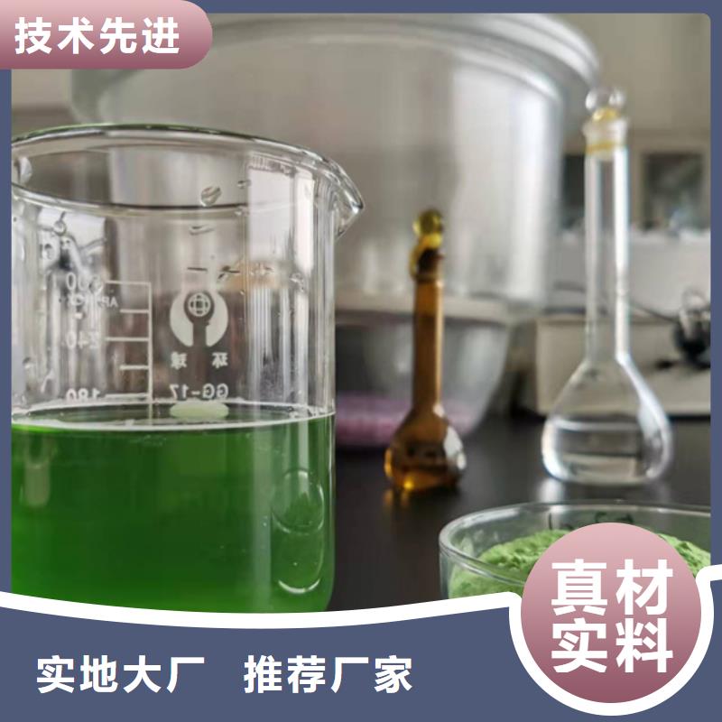 定制羽衣甘藍粉末_生產(chǎn)廠家