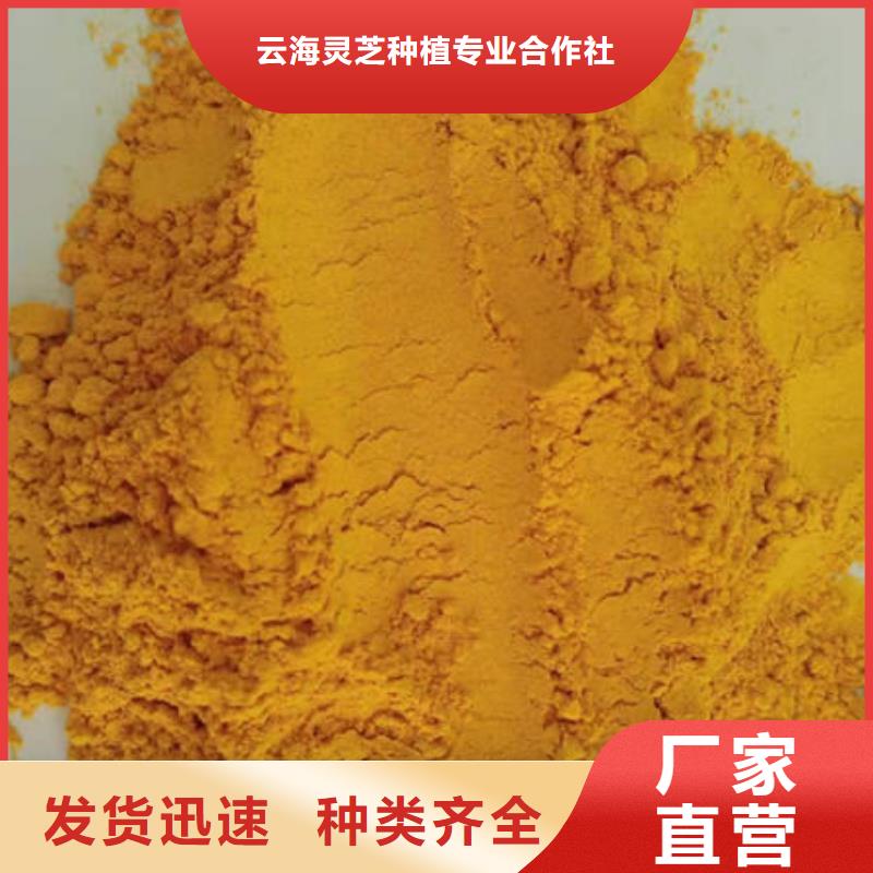 南瓜粉靈芝切片選擇大廠家省事省心