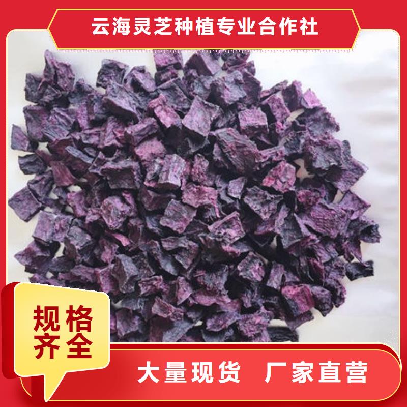 紫薯丁灵芝孢子粉价格厂家货源