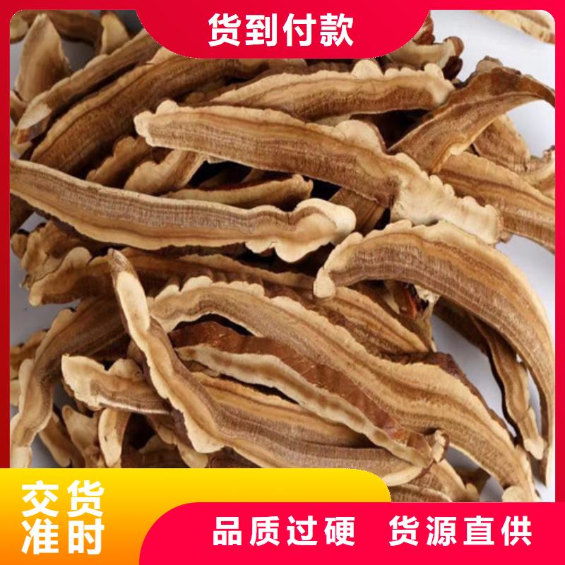 
靈芝超細(xì)粉生產(chǎn)廠家-發(fā)貨及時(shí)