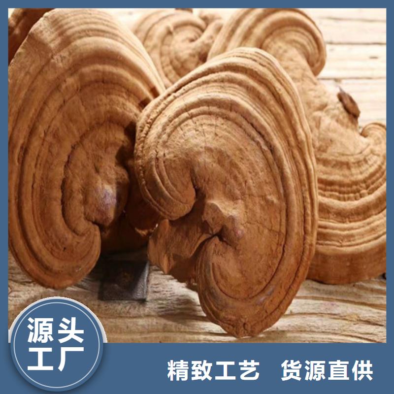 性價(jià)比高的靈芝切片生產(chǎn)廠家