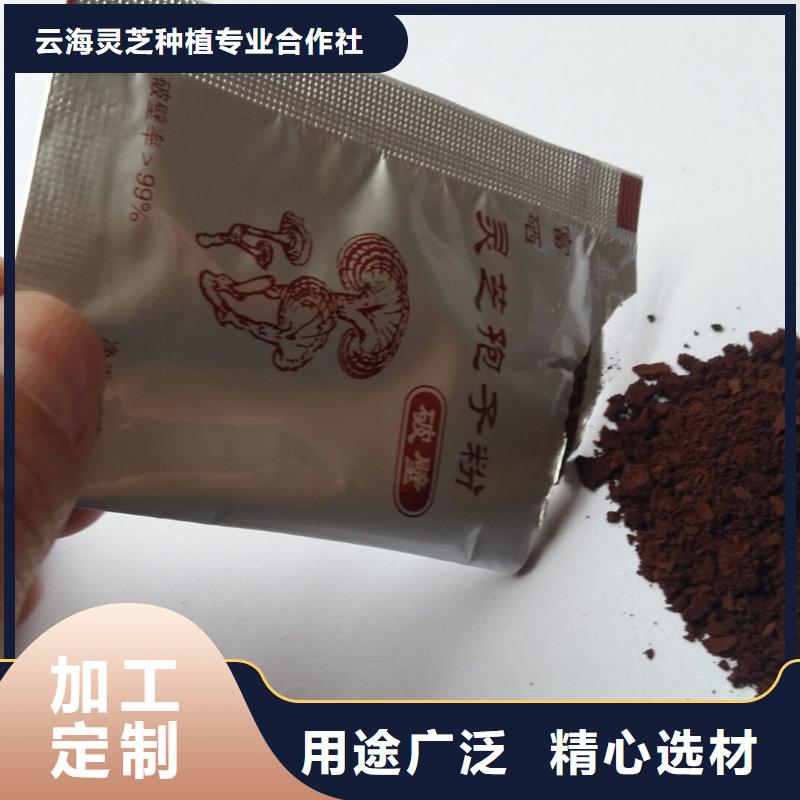 
靈芝粉設備生產廠家