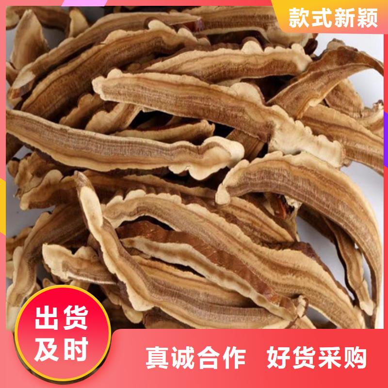 
靈芝孢子粉適用范圍