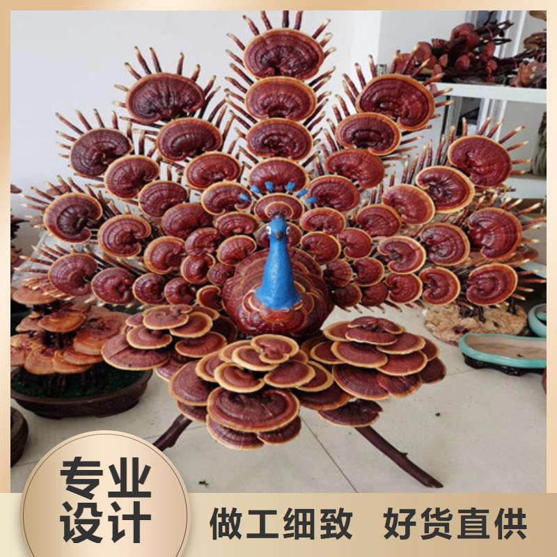 實(shí)力雄厚的靈芝孢子粉生產(chǎn)廠家