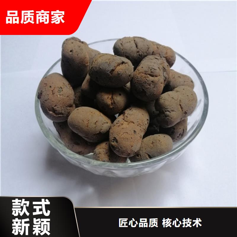 陶粒,高效聚合氯化铝N年大品牌