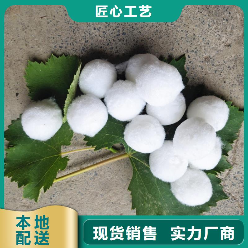 【纖維球-蜂窩活性炭來圖定制量大從優】