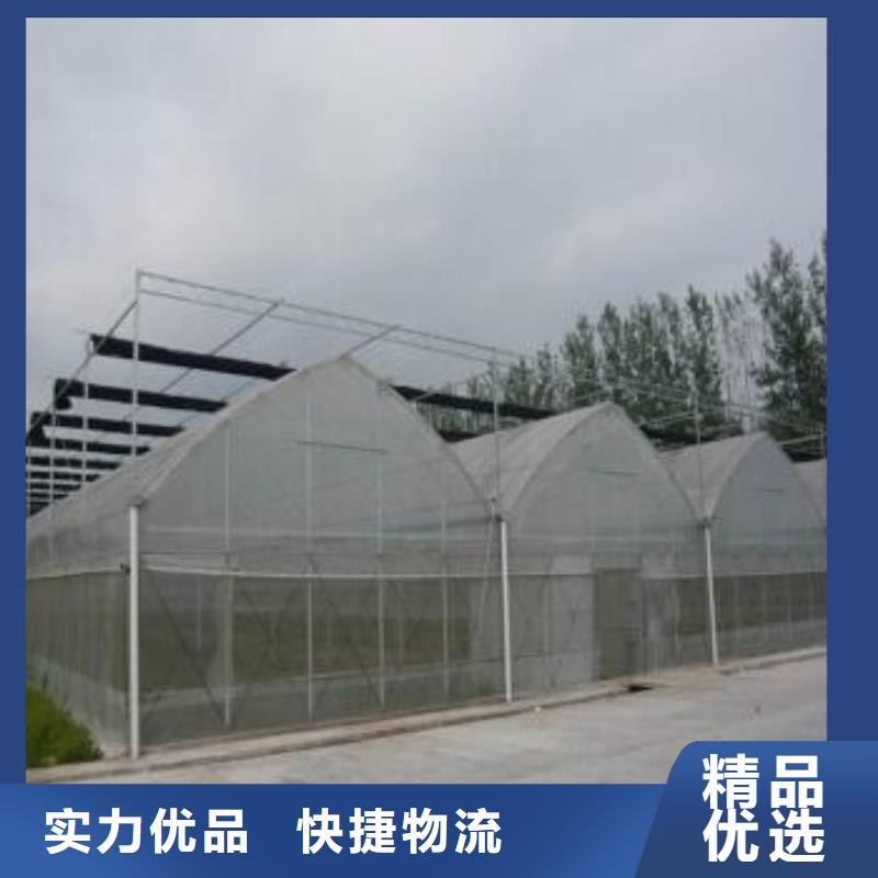 【大棚管連棟溫室搭建規(guī)格齊全實力廠家】