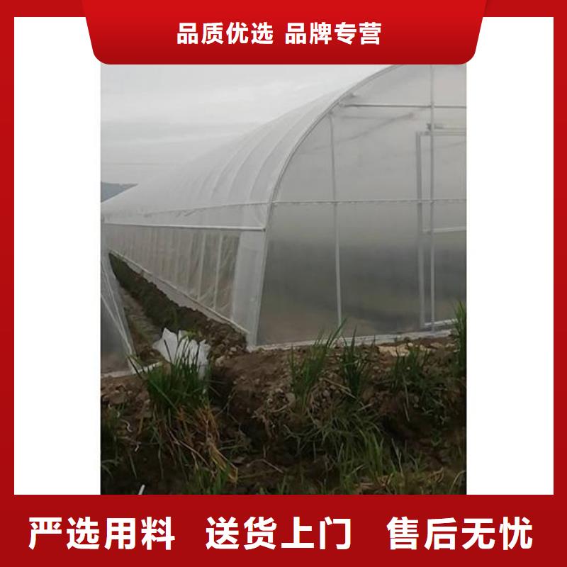 育苗用大棚管折彎種植基地2025