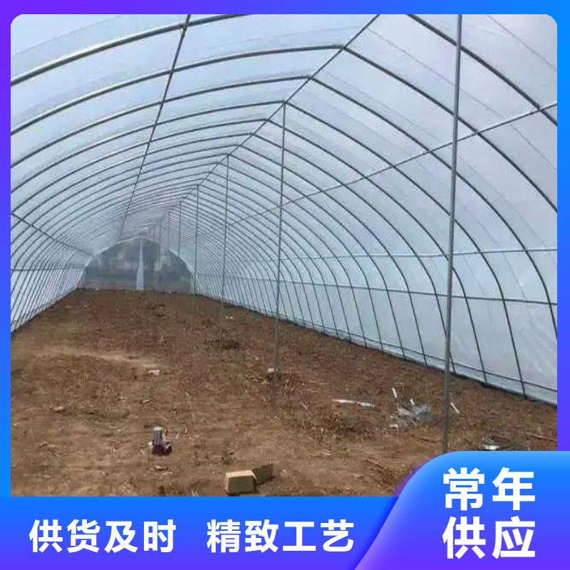 寧武縣農用大棚設備種植基地