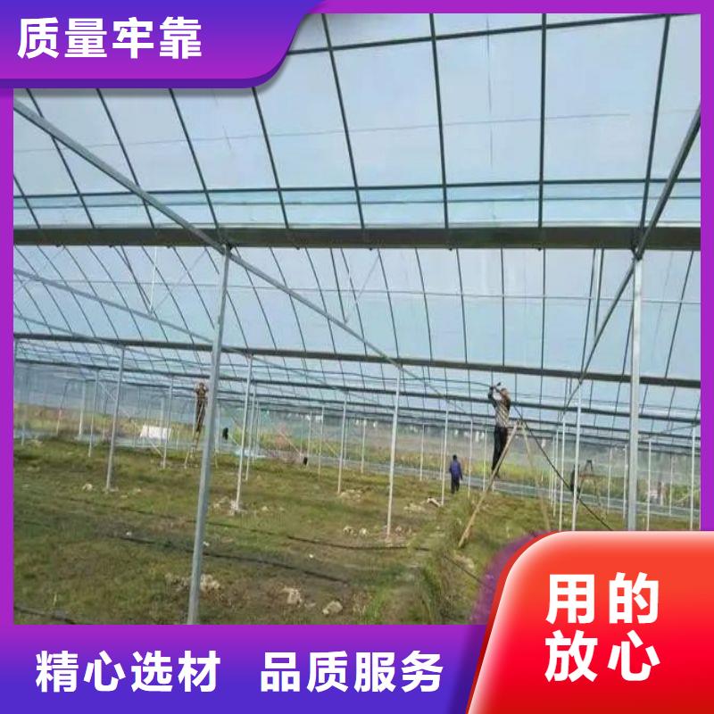 仁布縣暖棚種植基地