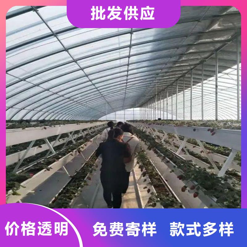 南頭鎮(zhèn)連棟大棚種植批發(fā)零售2025