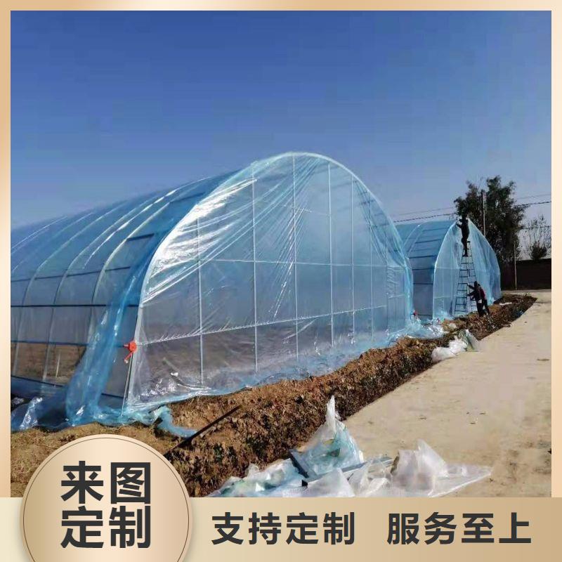 望都連棟大棚圖片推薦廠家2025