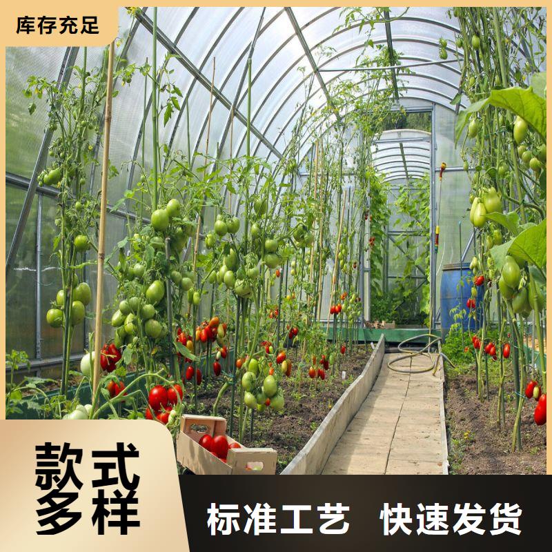 渭城連棟大棚種植批發(fā)零售2025