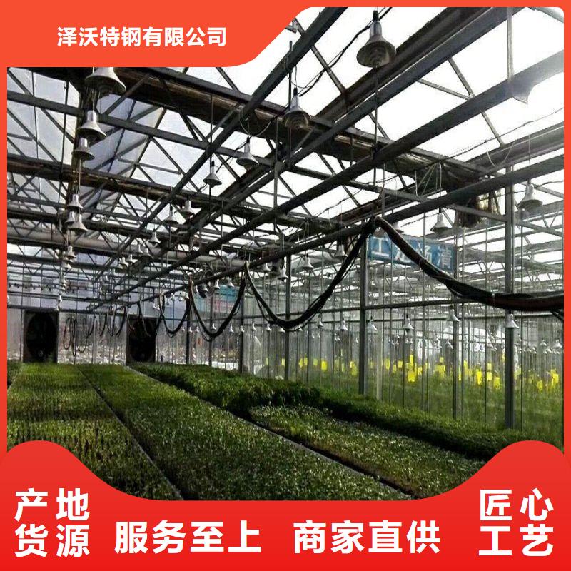 隨縣連棟大棚種植廠家2025