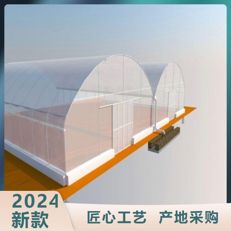 石樓連棟大棚造價多少一畝采購價格2025