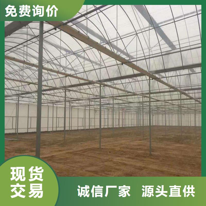 理塘縣大棚設備種植基地