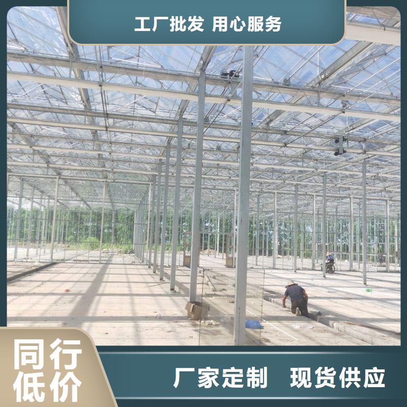 棗強縣溫室水培系統聯系電話