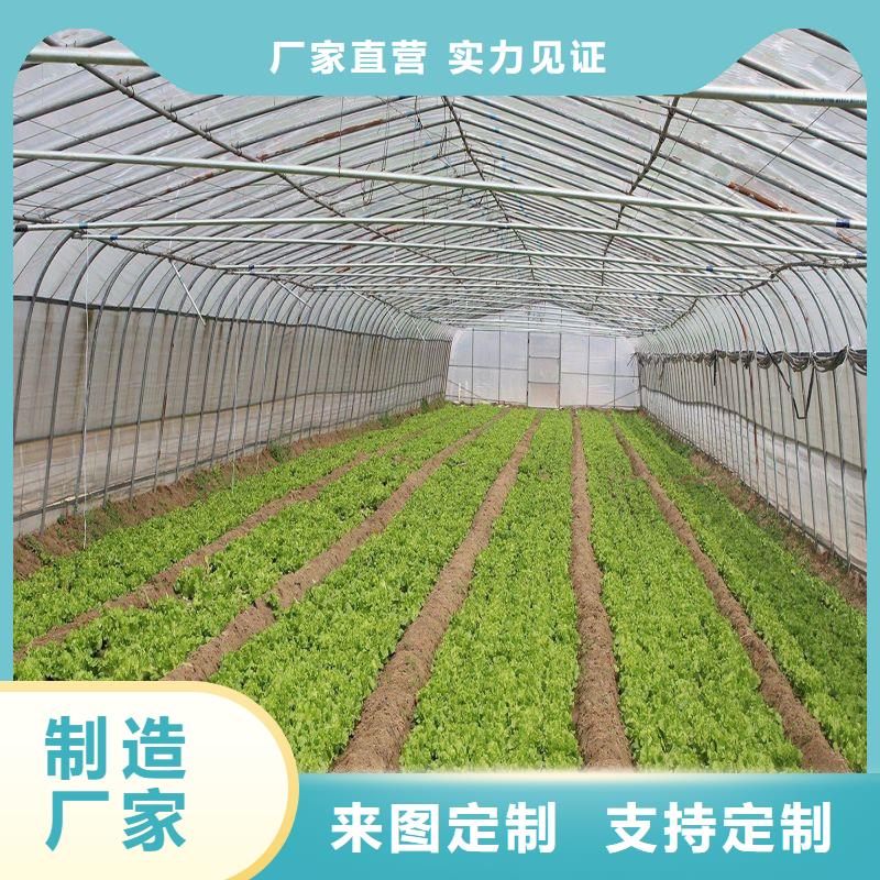 嵐縣連棟大棚種植產品介紹2025