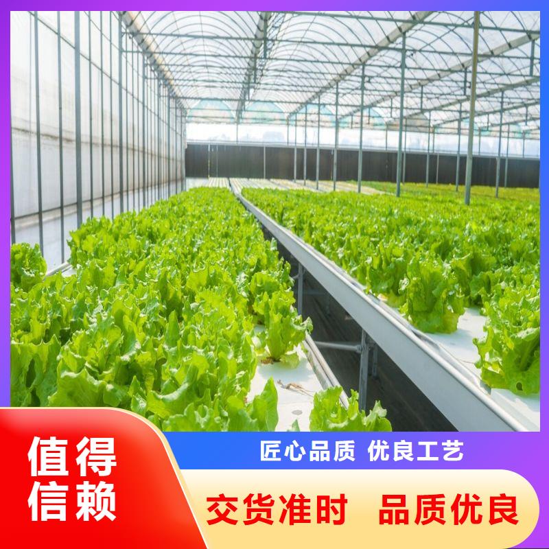 周寧連棟大棚種植擇優(yōu)推薦2025