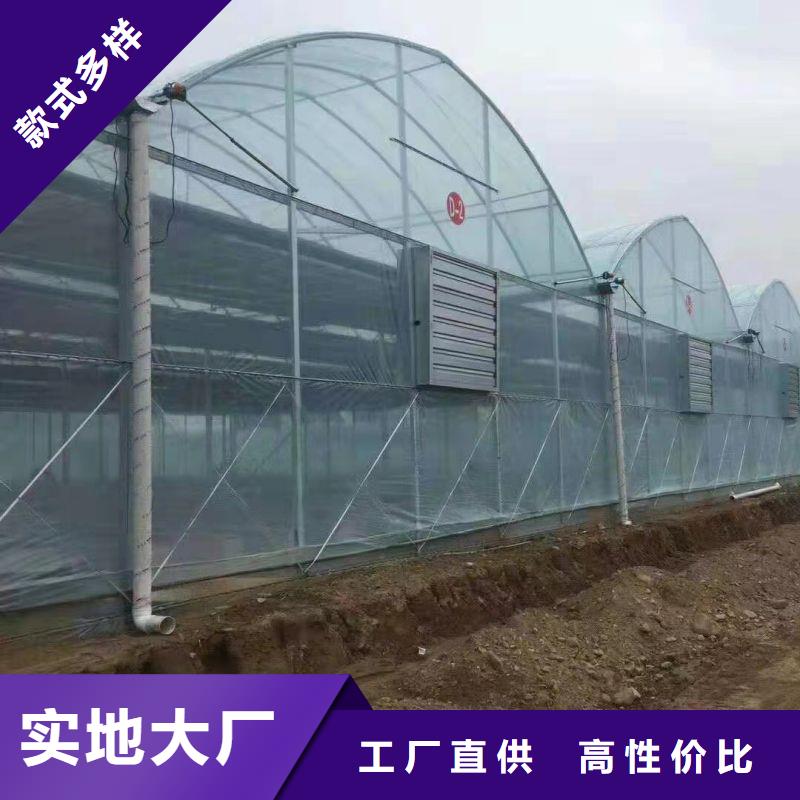 睢縣連棟大棚種植質量放心2025