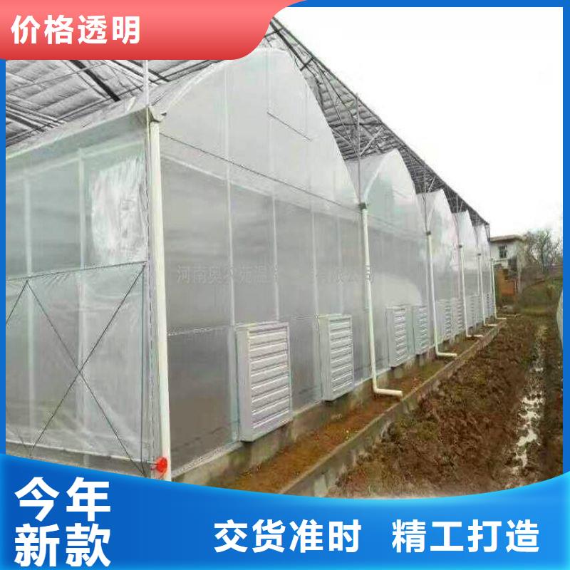 騰沖連棟大棚種植推薦廠家2025