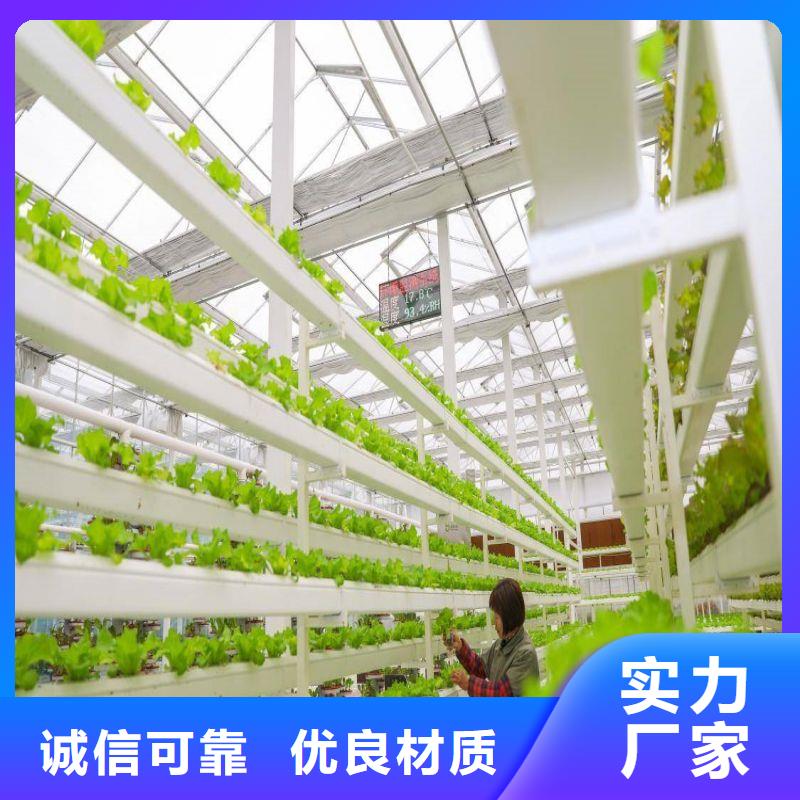 睢縣連棟大棚種植質量放心2025