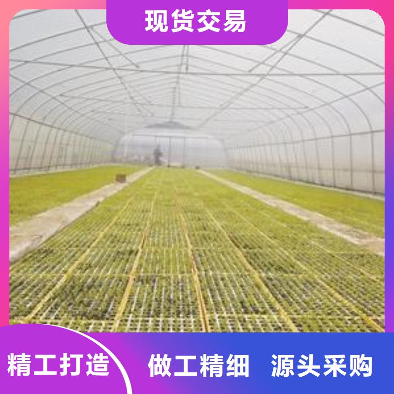 高邑縣供應連棟熱鍍鋅管全國送貨上門