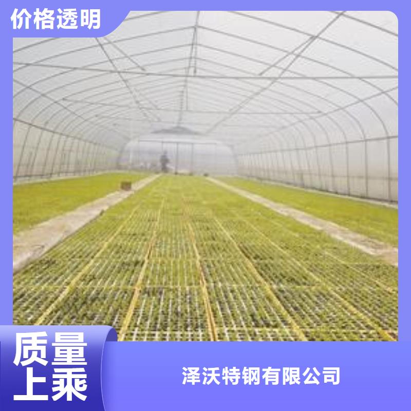 寶興鍍鋅大棚鋼管施工團隊2025已更新