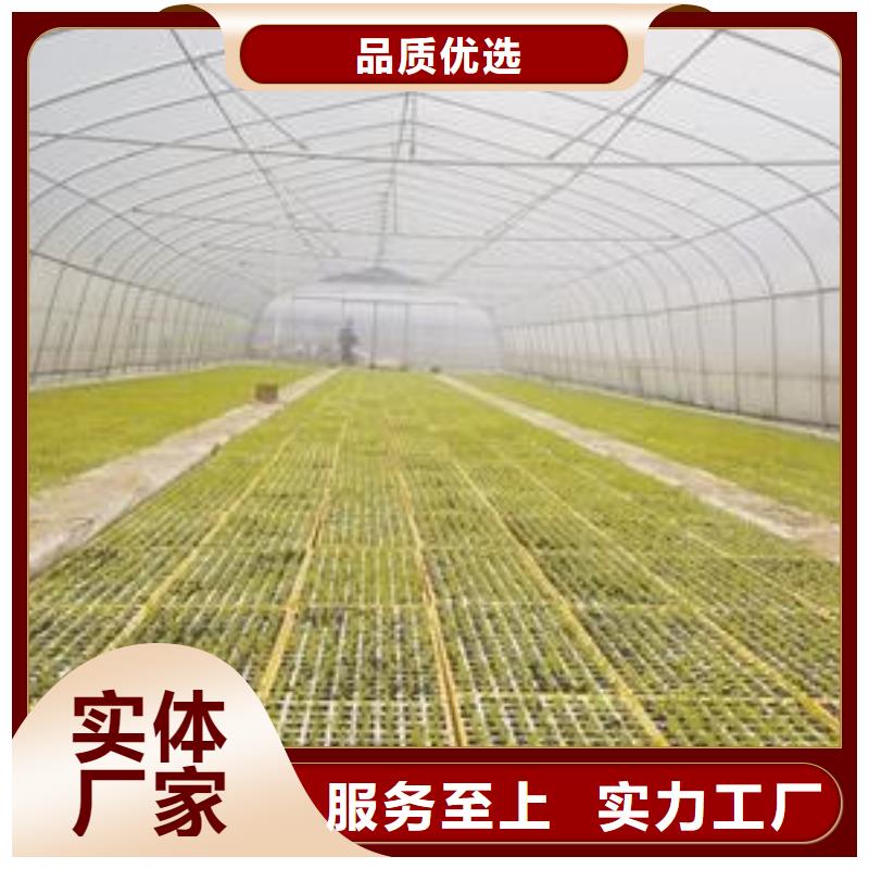 越西大棚管廠家批發價格2025已更新