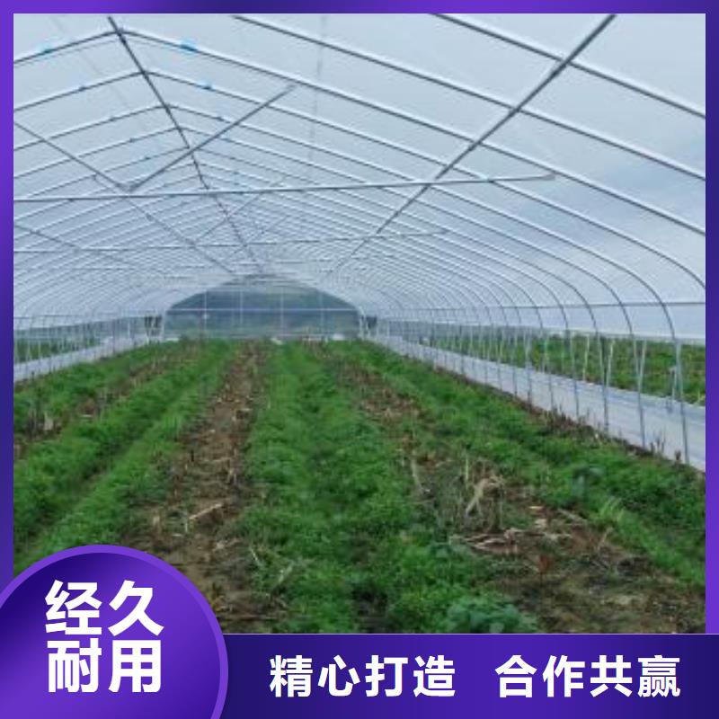 大棚管蔬菜溫室大棚管品質服務誠信為本